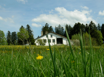 farm