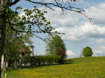 farm